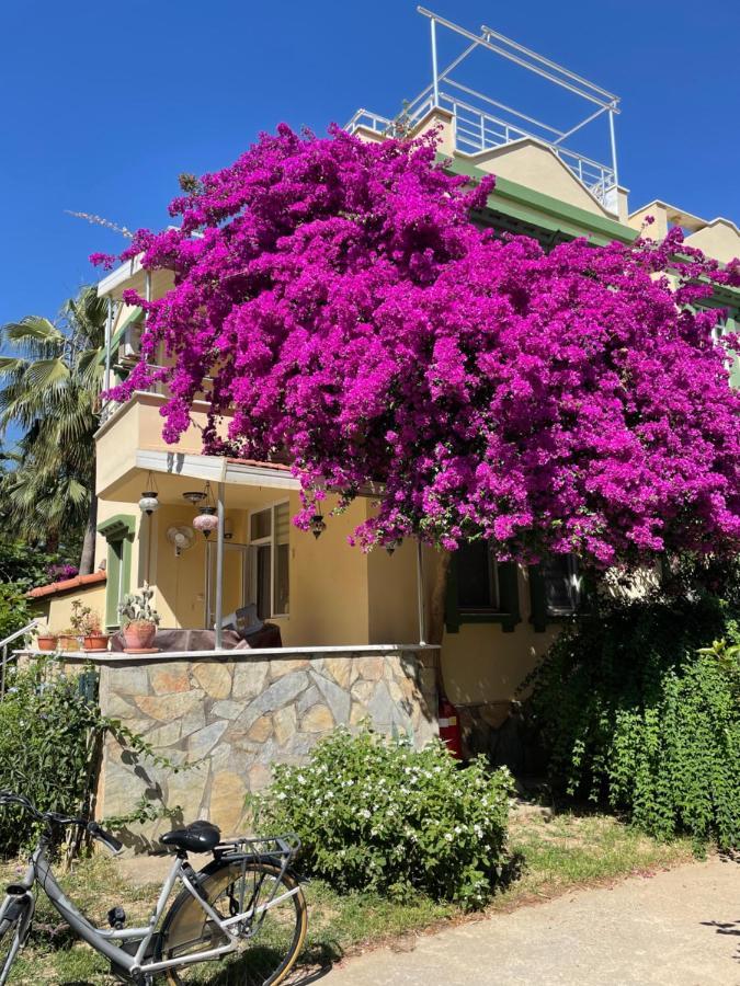 Villa Konak Club Alanya Bagian luar foto